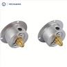 Mini Panel Mount Pressure Gauge